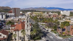 how to investigate a dog bite in riverside